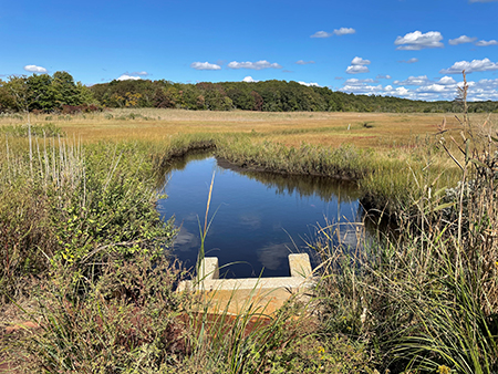 Culvert at a Barn Island Wildlife Management Area impoundment.