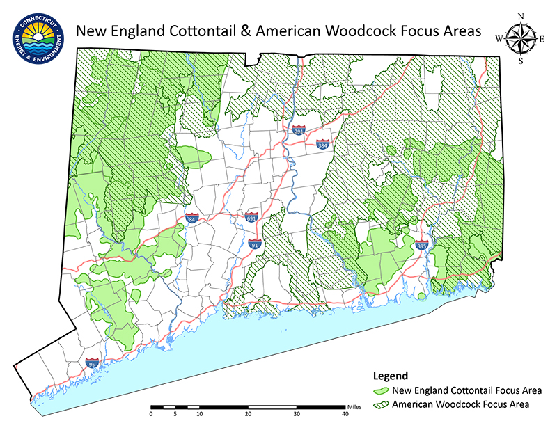 Focus area map of Connecticut for New England cottontail and American woodcock.