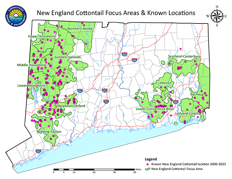 Focus area map of Connecticut for New England cottontail.