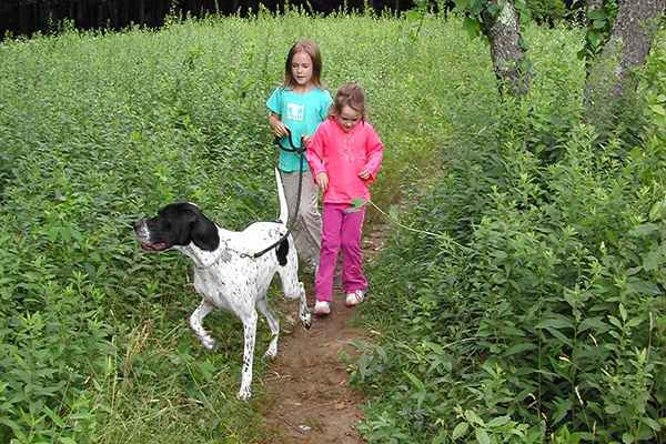 Kids walking a dog in a field.