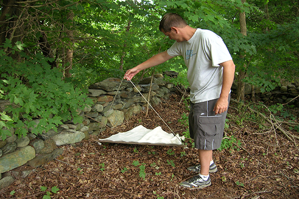 A person dragging for ticks.