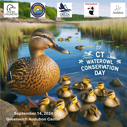 Logo for Connecticut Waterfowl Conservation Day