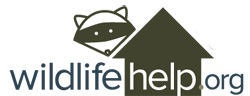 Logo for WildlifeHelp.org