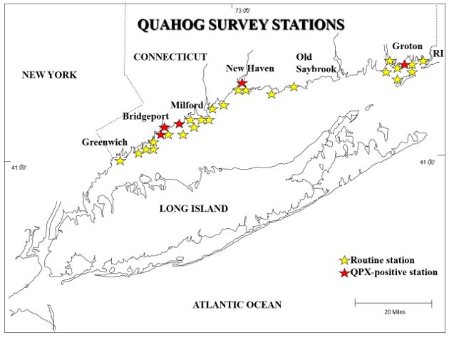 Quahog Disease Survey Stations