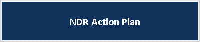 action plan ndr button
