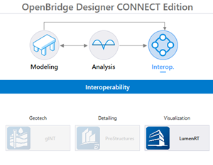 OpenBridge Interop Icons
