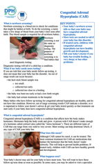 Congenital Adrenal Hyperlasia Fact Sheet Graphic