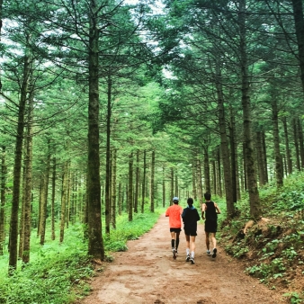 Three people jogging on a trail in the forest