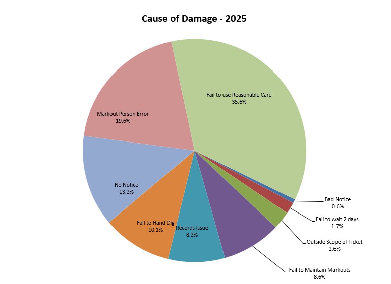 Causes of damages in 2025