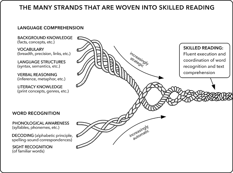 Rope diagram showing strands of language comprehension and word recognition weaving together into skilled reading.