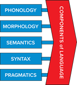 Components of Language, phonology, morphology, semantics, syntax and pragmatics