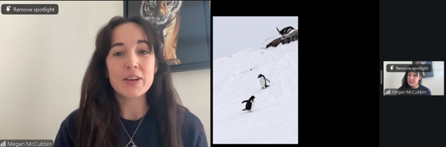 Screenshot from webinar of Megan McCubbin