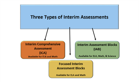 Three types of interims: ICA, IAB and focus blocks.