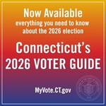 Voter Guide - English graphic