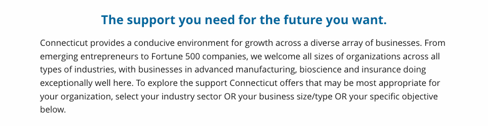 ChooseCT: Do Business