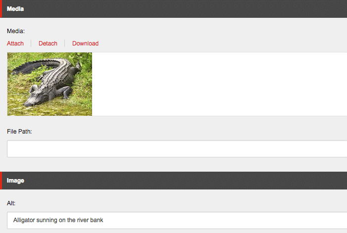Media Library: Alt Text Field