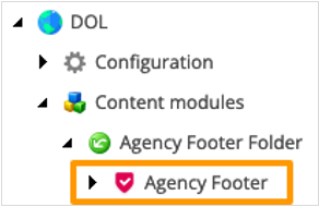 Agency Footer Access