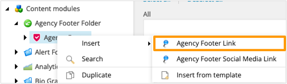 Agency Footer Insert Agency Footer Link