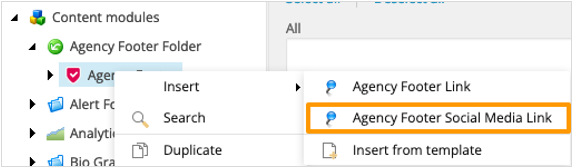 Agency Footer Insert Social Media Link