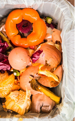 Food scraps collected for composting