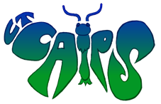 CT CAPS Logo