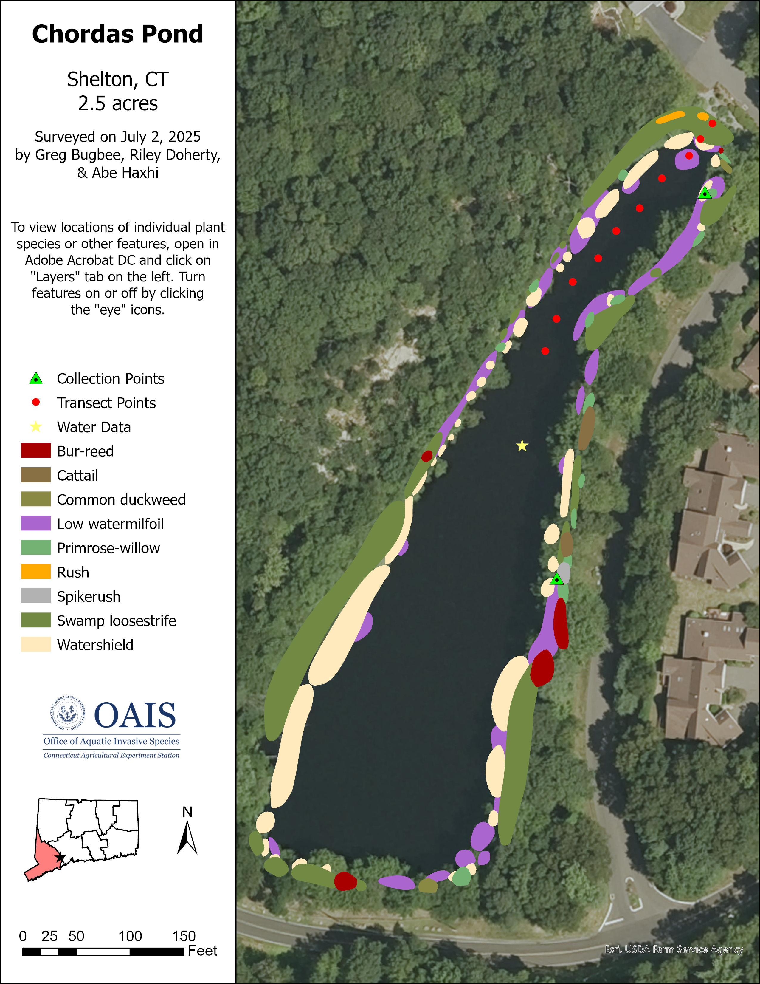 Image of the 2025 aquatic vegetation survey map for Chordas Pond.