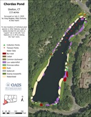 Image of the 2025 aquatic vegetation survey map for Chordas Pond.