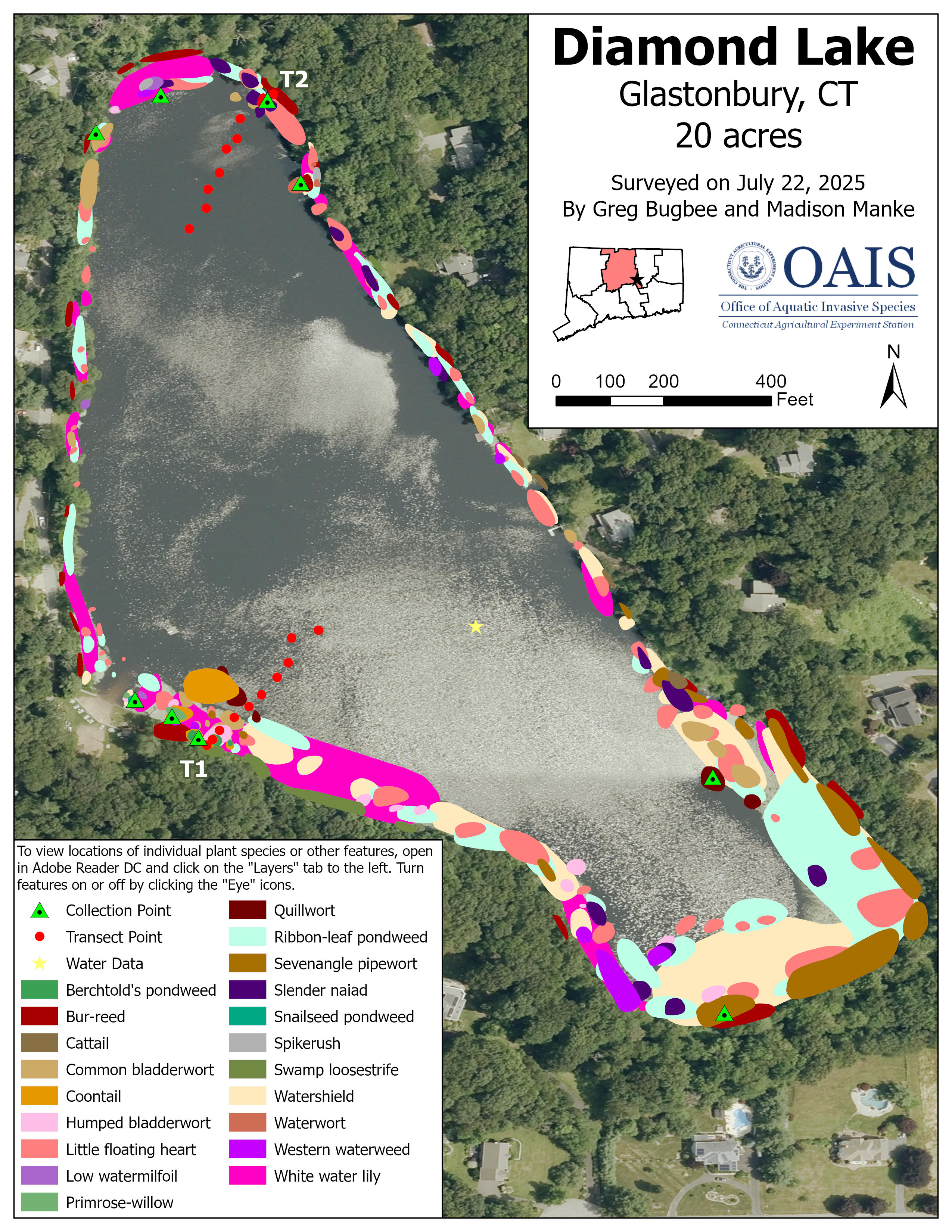 Map of aquatic vegetation documented in Diamond Lake during the 2025 survey.