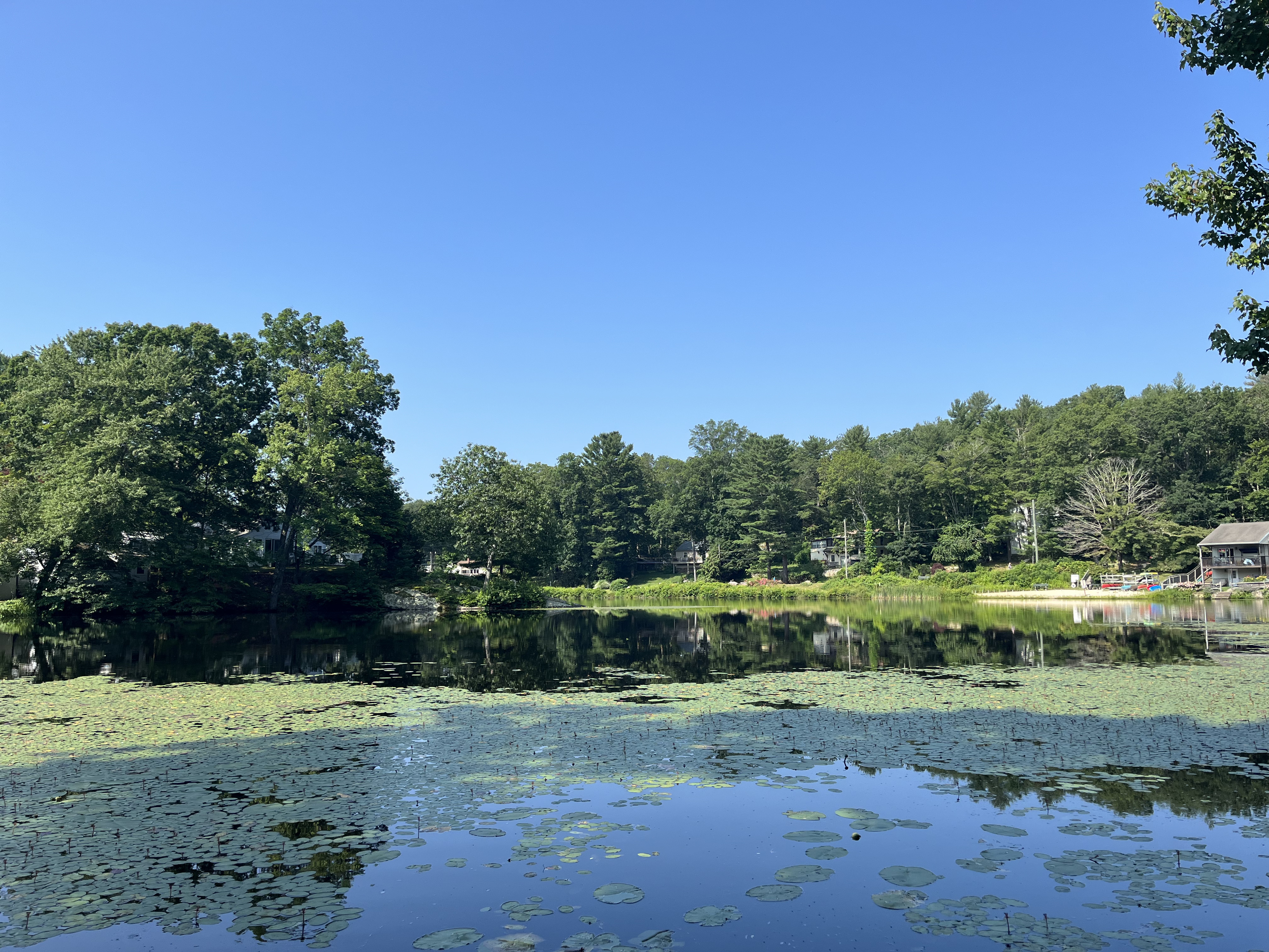Image of Lower Guilford Lake durig 2023 survey.