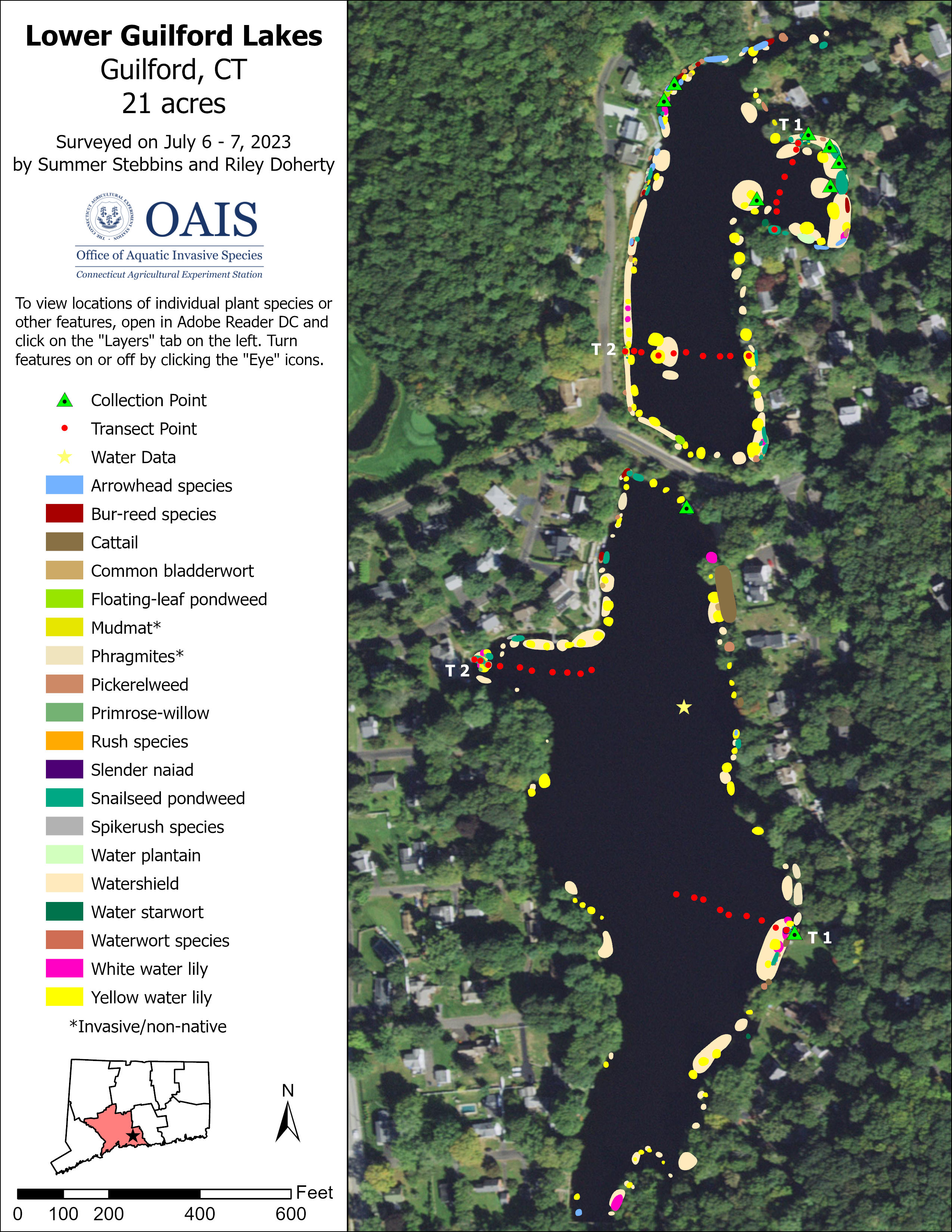 Aquatic vegetation survey map of Lower Guilford Lakes in 2023. 