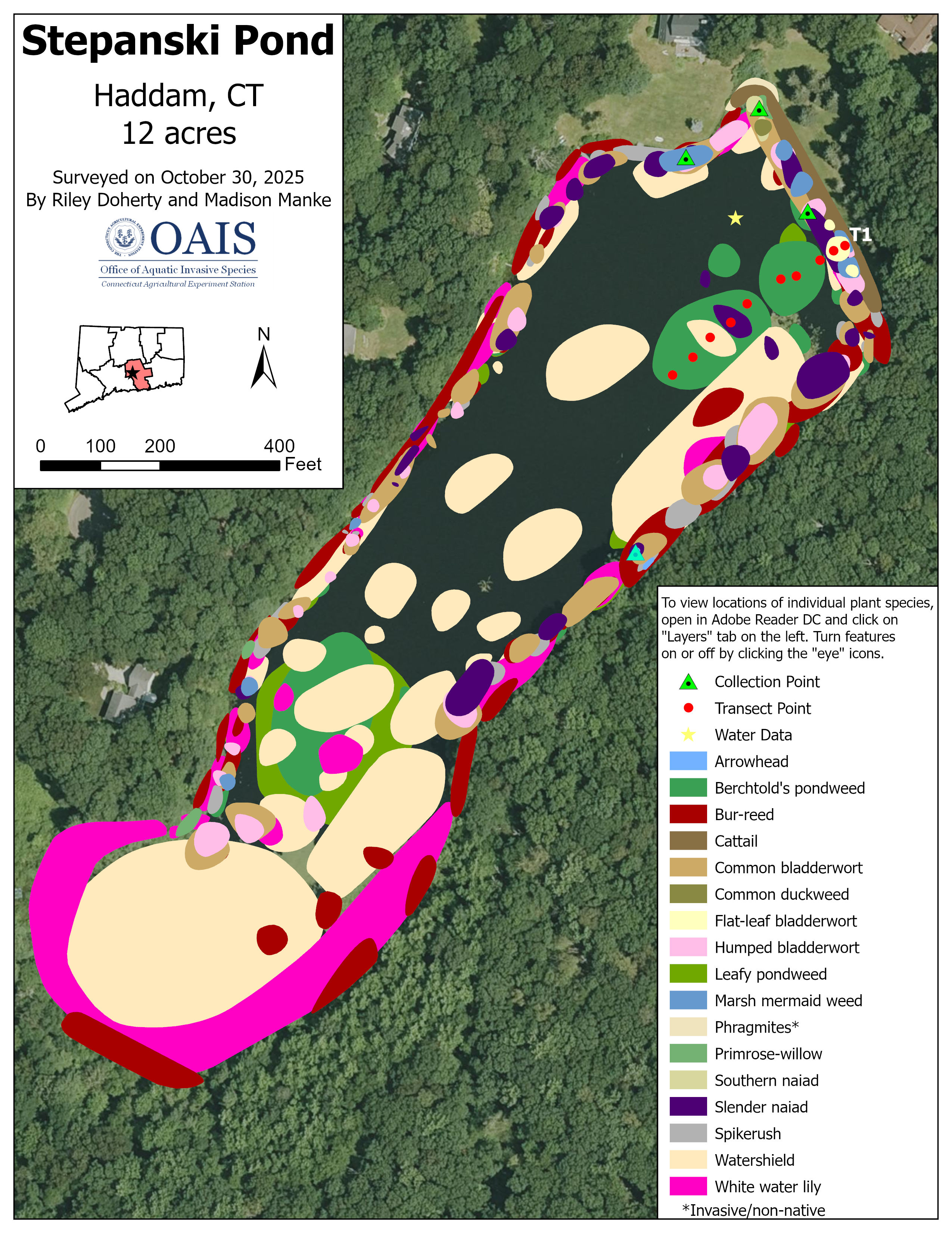 This is a map of the aquatic plant survey results for Stepanksi Pond.