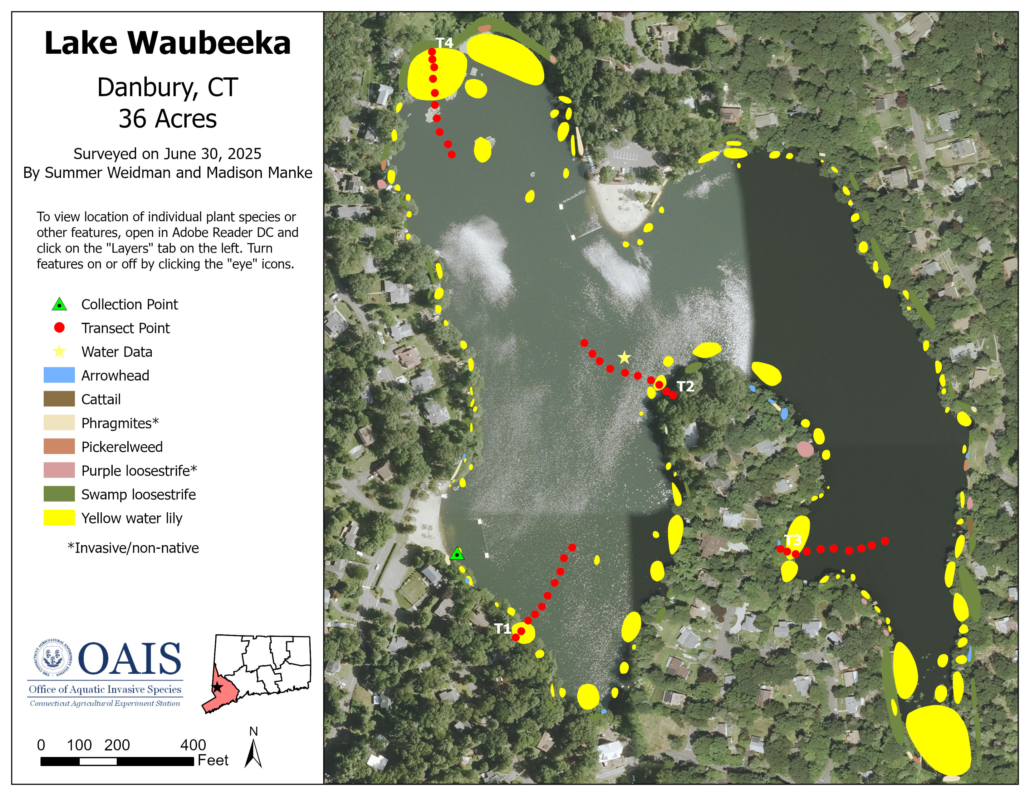 Map of aquatic vegetation documented in the 2025 survey of Waubeeka Lake.