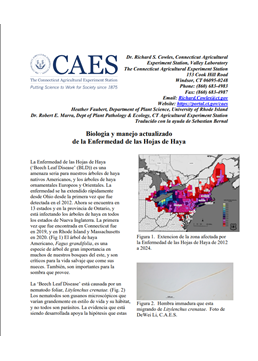 image of the first page of updated beech leaf disease biology and management fact sheet in Spanish
