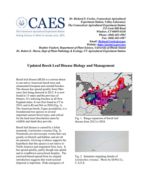 image of the first page of updated beech leaf disease biology and management fact sheet