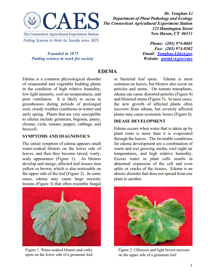 the first page of edema fact sheet