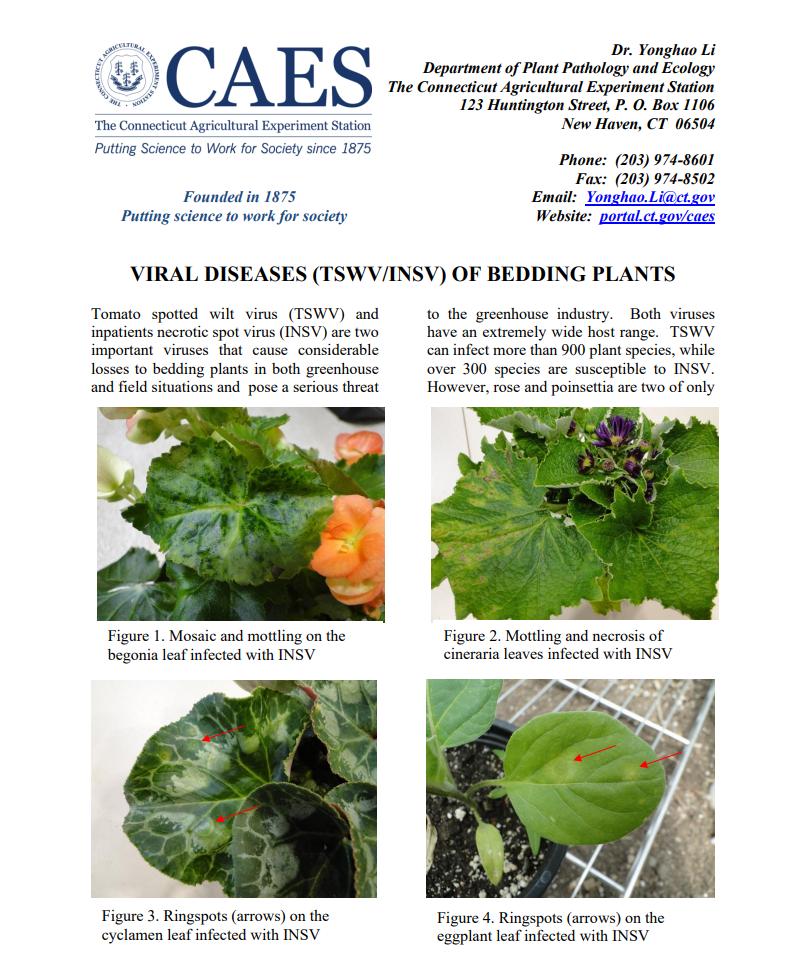 the first page of viral diseases of bedding plants fact sheet