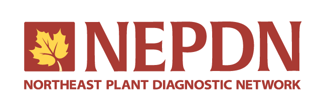 Northeast Plant Diagnostic Network logo