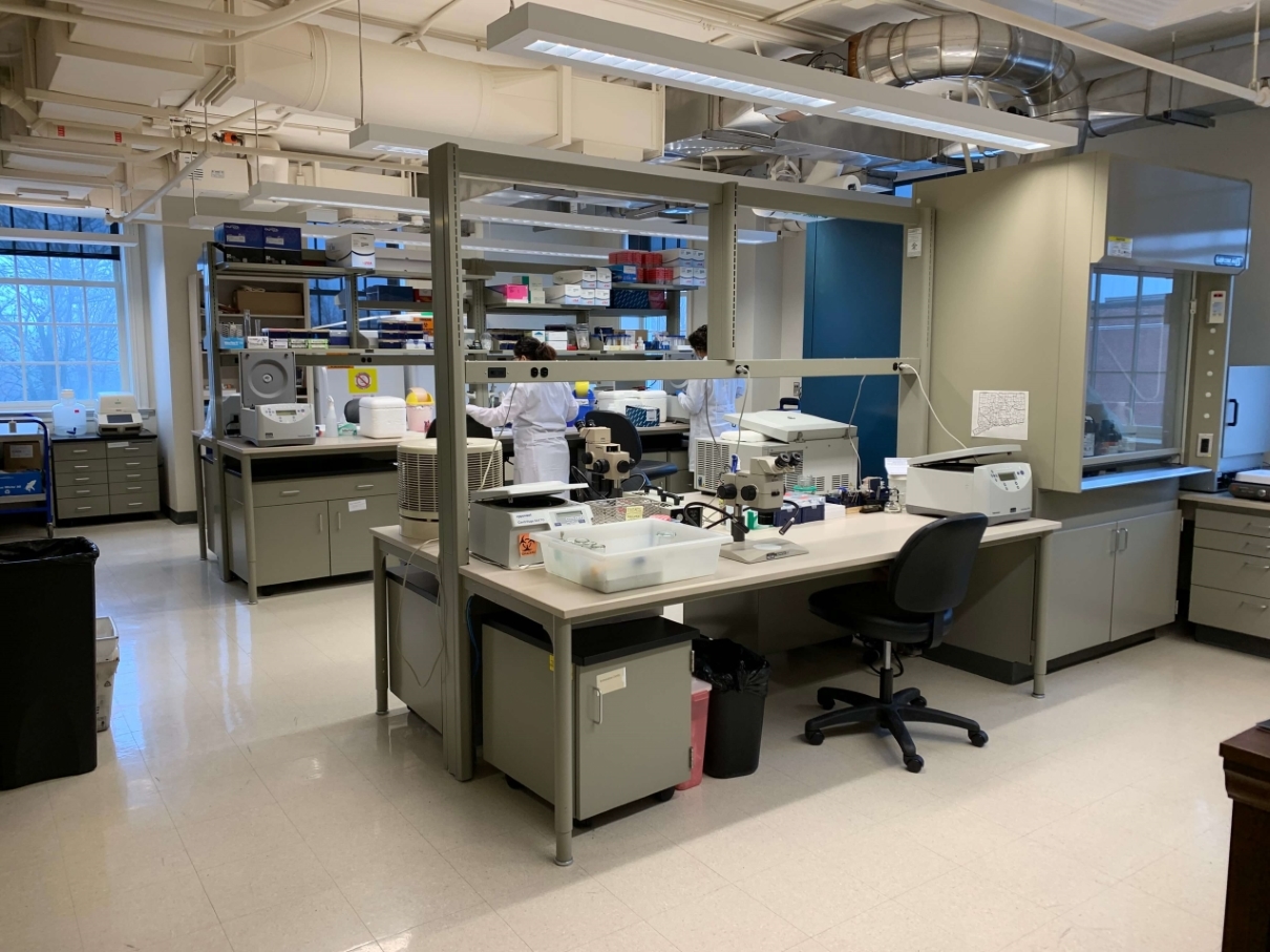The tick testing laboratory 