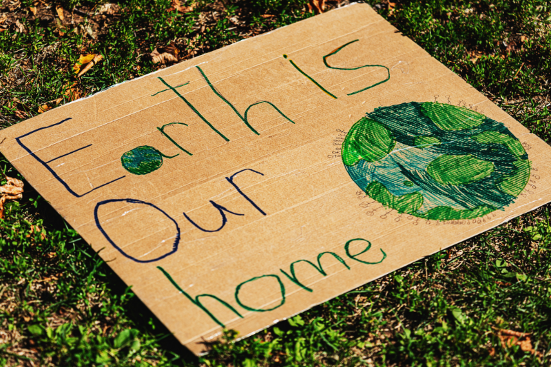 Protest Board "Earth is Our Home"