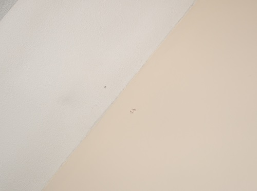 Suspected bullet holes at 83 Craigie Avenue.