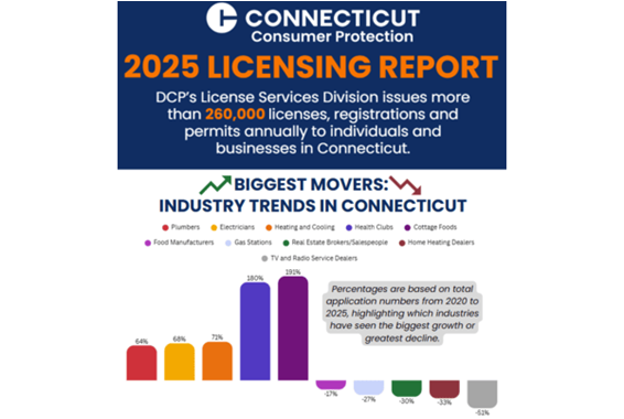 2025 DCP Licensing Report decorative graphic.