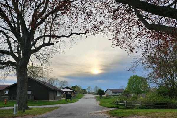 Camp Harkness cabins