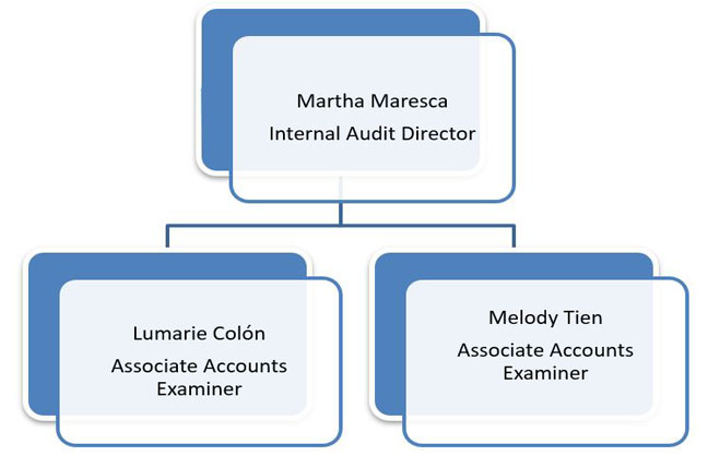 Audit Services Organization Chart