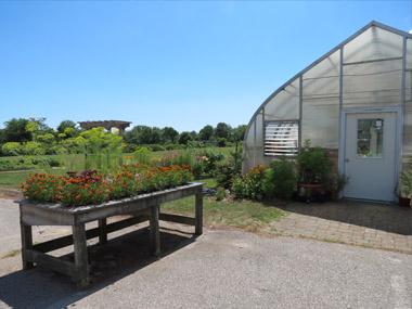Camp Harkness Greenhouse