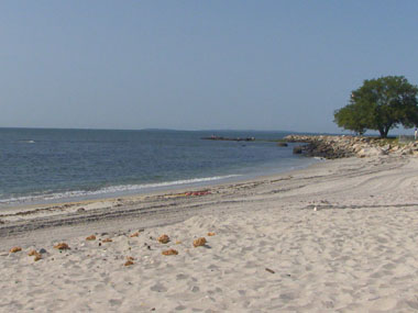 Camp Harkness Beach Front on Long Island Sound