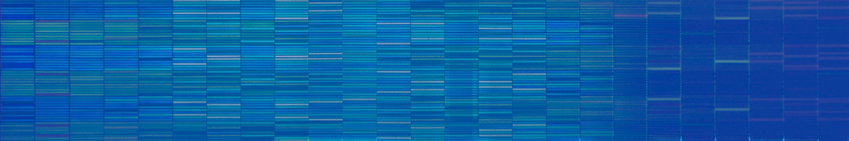 CT State Housatonic Art Purchase — Up to $275,000 to Acquire Works by Connecticut and Tri-State Artists (Beacon Hall, Bridgeport)