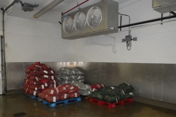 shellfish bags in a cooler