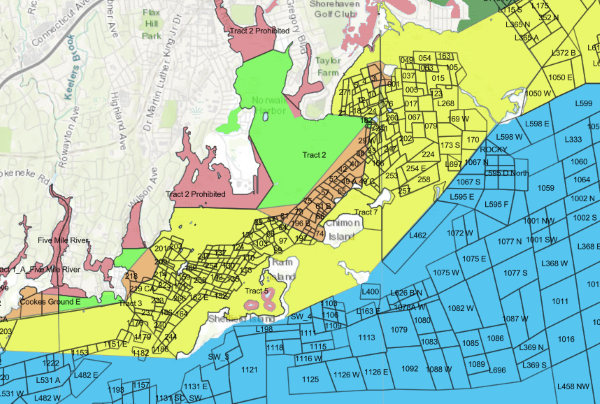 Norwalk classification