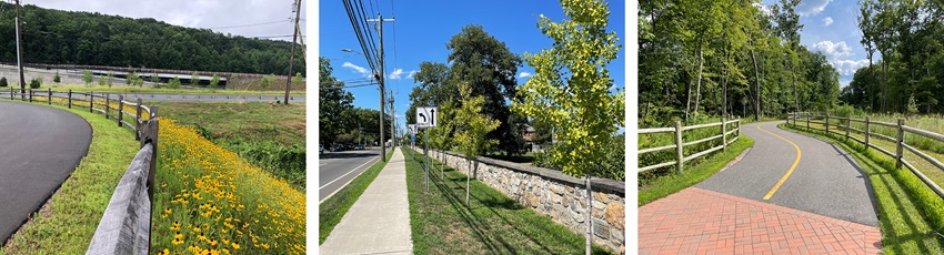 Landscape Design Unit 3 Examples of roadway landscaping
