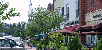 street foliage